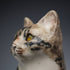 British Winstan Ray Kensington Cat Pheasant Pottery Figurine (Size 4)
