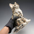 British Winstan Ray Kensington Cat Pheasant Pottery Figurine (Size 4)