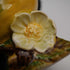 British Vintage Beswick Greenfinch Figurine Set of 2 (No. 2105)