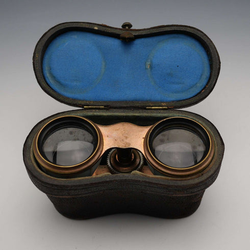 French Antique Mother-of-Pearl Decorated Opera Glasses Binoculars with Case Verdi Paris