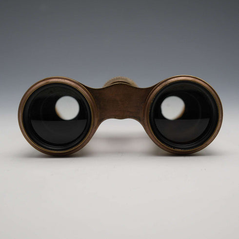 French Antique Mother-of-Pearl Decorated Opera Glasses Binoculars with Case Verdi Paris