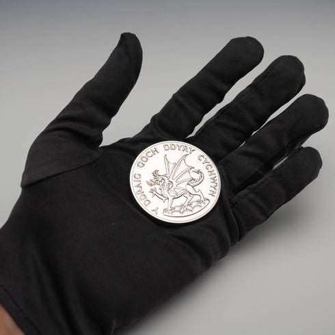 1969 Investiture of the Prince of Wales Commemorative Medal 70g Royal Mint Cased