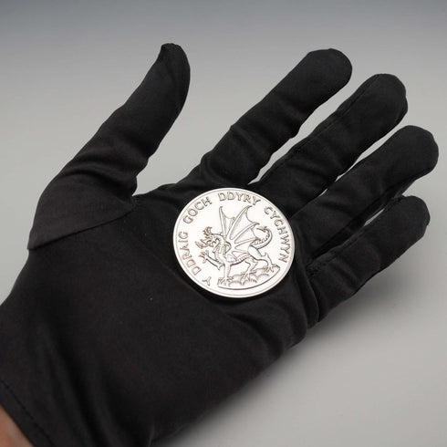 1969年 プリンス・オブ・ウェールズ叙任式 記念メダル 70g RoyalMint ケース入り