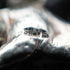 1895 Antique British Sterling Silver Albert Chain 62g with Sterling Silver Bull Charm Fob