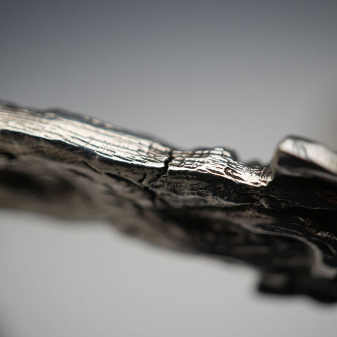 Late 19th Century English Antique Silver Plated Serving Spoon Pair