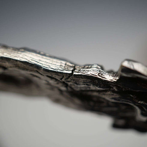 Late 19th Century English Antique Silver Plated Serving Spoon Pair