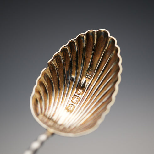 1896 Antique English Sterling Silver Apostle Spoon Set (6 Spoons, Tongs & Sifter), 54g total, by Charles Boyton, in case