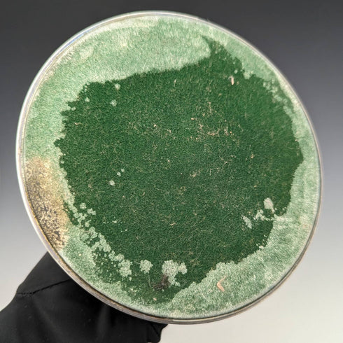 British Vintage Silver Plated Candle Stand Candelabra Viners