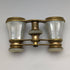 French antique mother-of-pearl decorated opera glasses binoculars with case Verne