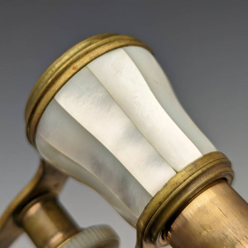 French antique mother-of-pearl decorated opera glasses binoculars with case Verne