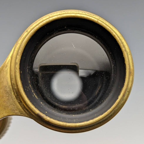 French antique mother-of-pearl decorated opera glasses binoculars with case Verne