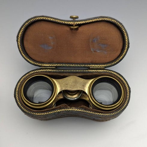 French antique mother-of-pearl decorated opera glasses binoculars with case Verne