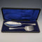 Around 1910 British antique silver plate fish server set in box Levesley Brothers