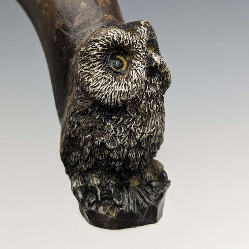 Around 1900 British antique gentleman's walking stick with owl decoration, curved horn handle 90cm