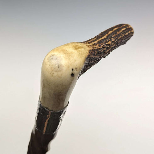 1895年左右 英國古董 紳士用手杖 鹿角拐杖把手 扭轉軸 85cm