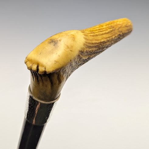 1889年 英國古董 紳士用手杖 鹿角拐杖把手 91cm