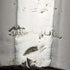 1889年 英國古董 紳士用手杖 鹿角拐杖把手 91cm