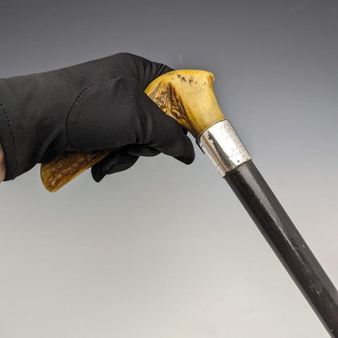 1889年 英國古董 紳士用手杖 鹿角拐杖把手 91cm