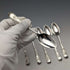 Around 1900 British Antique Silver Plated Teaspoon Set of 6 Daniel & Arter