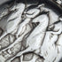 Around 1904 Antique Longines pocket watch with horse engraving silver side open face works well