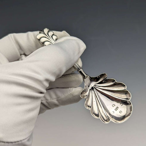 1845 British Antique Sterling Silver Tea Caddy Spoon FRANCIS CLARK