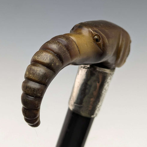 1896 British Antique Men's Cane Horn Elephant Handle 86cm