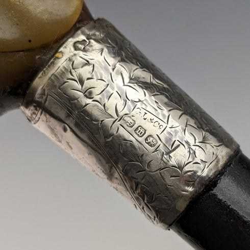 1896 年英國古董男士手杖角大象手柄 86 厘米