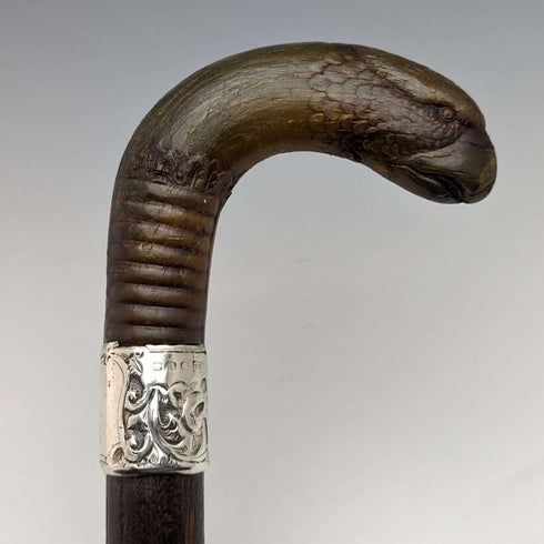 1893年 英国アンティーク 紳士用ステッキ ホーン製グリフィンハンドル 85cm