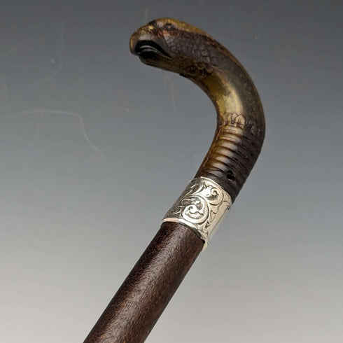 1893年 英国アンティーク 紳士用ステッキ ホーン製グリフィンハンドル 85cm