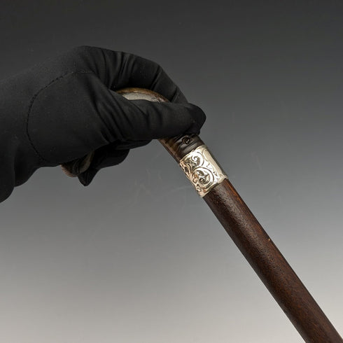 1893 年英國古董男士手杖角獅鷲手柄 85 厘米