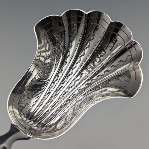 1857年 英国アンティーク 純銀製ティーキャディースプーン Hilliard & Thomason