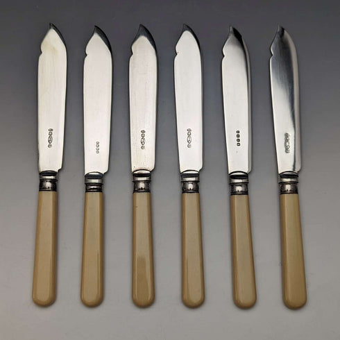 英國復古樹脂手把魚餐具 6 副套裝木盒 Cooper Brothers
