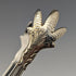 Circa 1905 US Antique Sterling Silver Crow Hand Sugar Tongs 29g MANCHESTER MFG