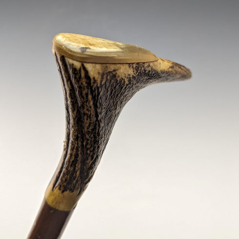 British Vintage Men's Cane Antler Handle Brown Shaft 94cm