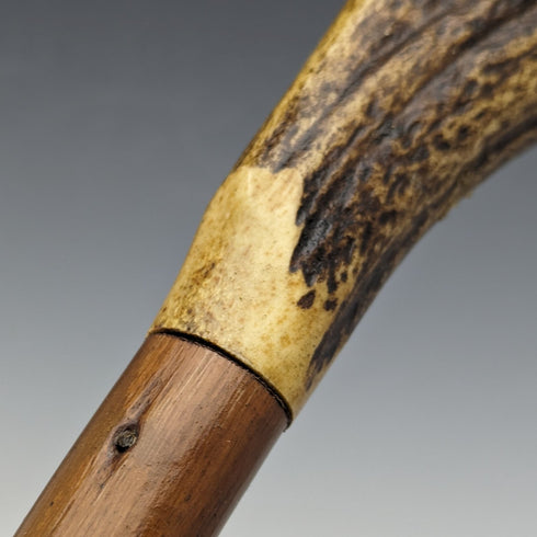 British Vintage Men's Cane Antler Handle Brown Shaft 94cm