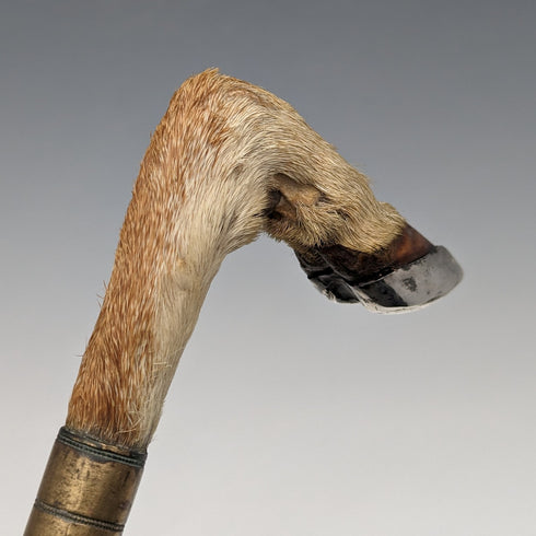 British Antique Men's Cane Chamois Leg Handle Light Brown Shaft 89cm