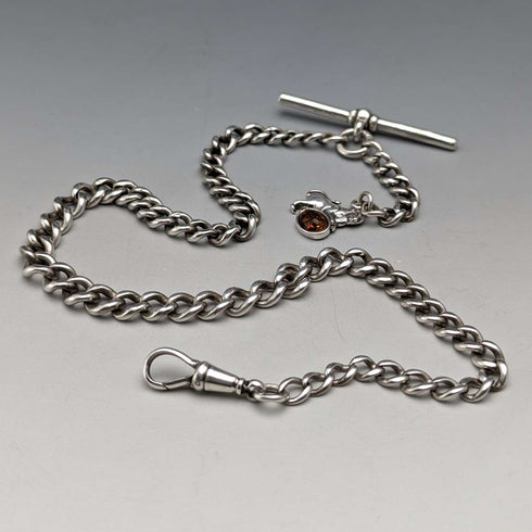 Circa 1910 British Antique Sterling Silver Albert Chain 34g Lion Fob with Amber