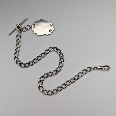 約 1884 年英國古董純銀阿爾伯特鏈 37 克徽章徽章