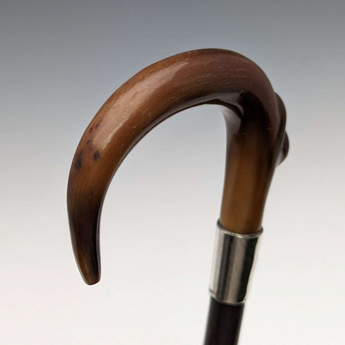 1911 British Antique Ladies Cane Horn Handle Sterling Silver Decoration 92cm