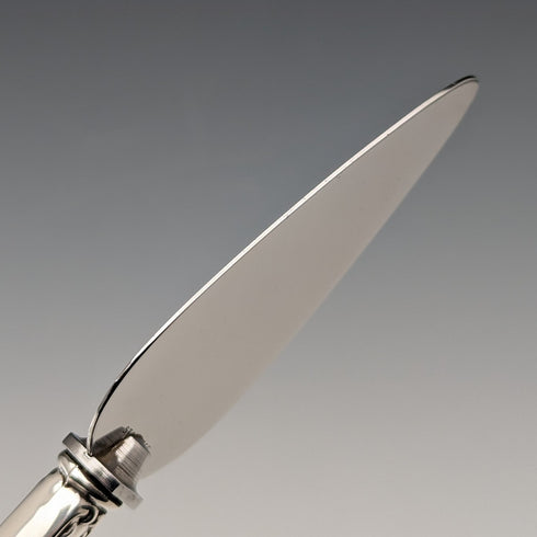 Circa 1910 American antique small cake slicer with sterling silver handle