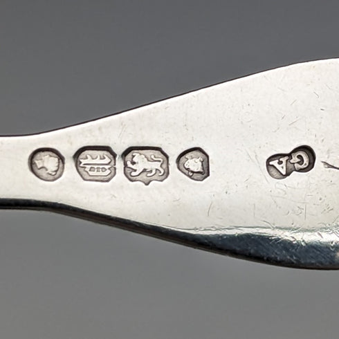 1850 British antique sterling silver tea caddy spoon Chawner & Co.