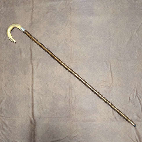 1899 年英國古董男士純銀裝飾牛角手柄手杖 101 厘米