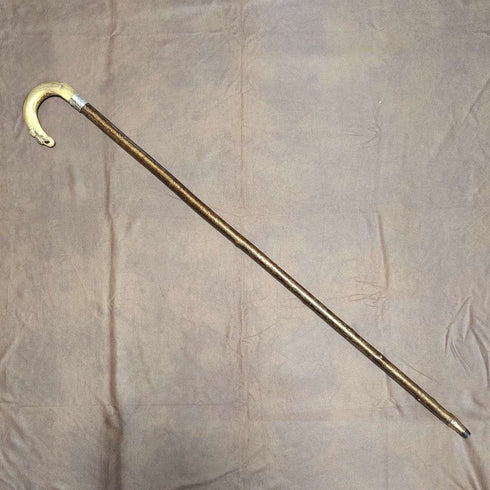 1899年 英国アンティーク 紳士用 純銀装飾 ホーンハンドル ステッキ 杖 101cm
