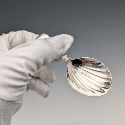 1807年 英国アンティーク 純銀製 ティーキャディースプーン George Wintle