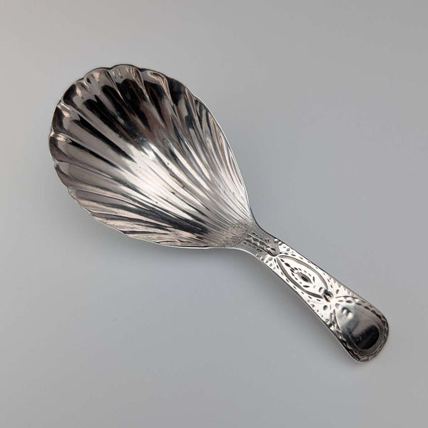 1800 British antique Georgian sterling silver tea caddy spoon