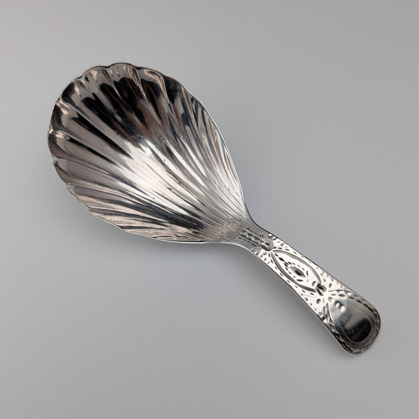 1800年 英国アンティーク ジョージアン 純銀製 ティーキャディースプーン