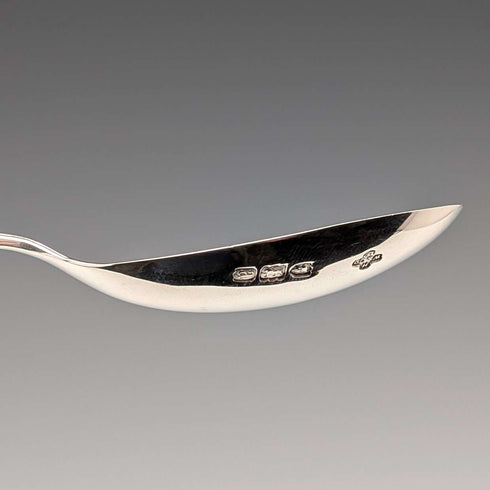 1896 British antique sterling silver tea caddy spoon by Horace Woodwood