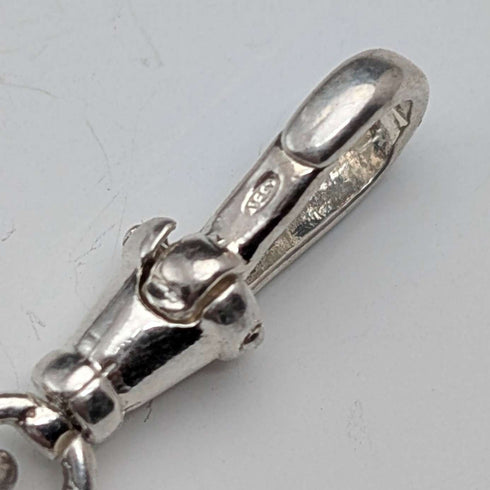 Circa 1900 British antique sterling silver Albert chain, 41g, sterling silver lion passant fob