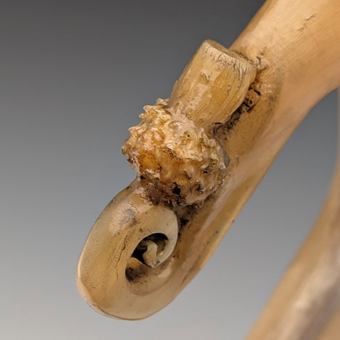 【ご注文品】英国スコットランド 紳士用 ホーンハンドル 羊飼いステッキ 杖 133cm