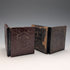 Antique British cased ambrotype pair
